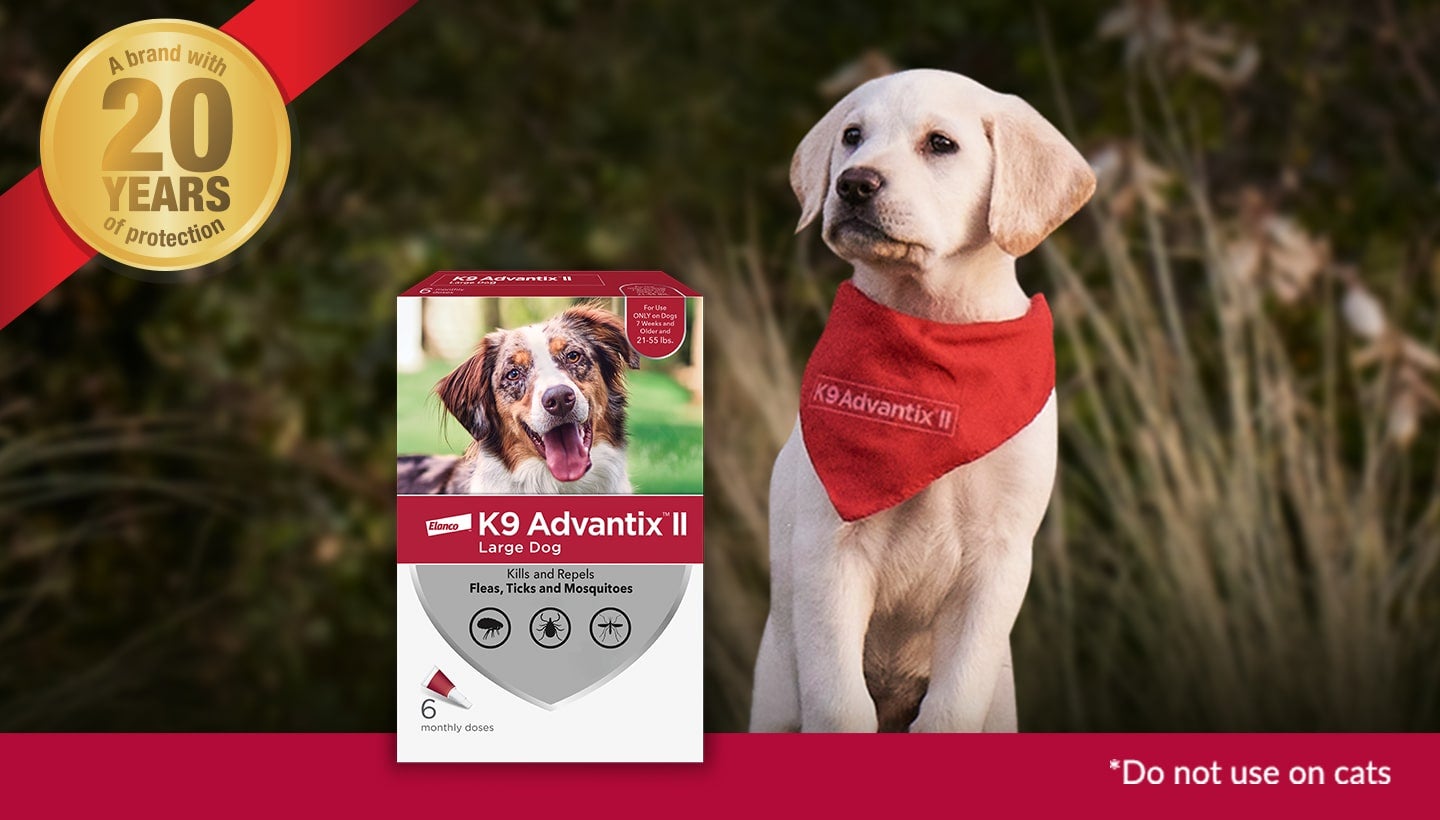 k9 advantix: K9 Advantix® II flea, tick and mosquito prevention for dogs